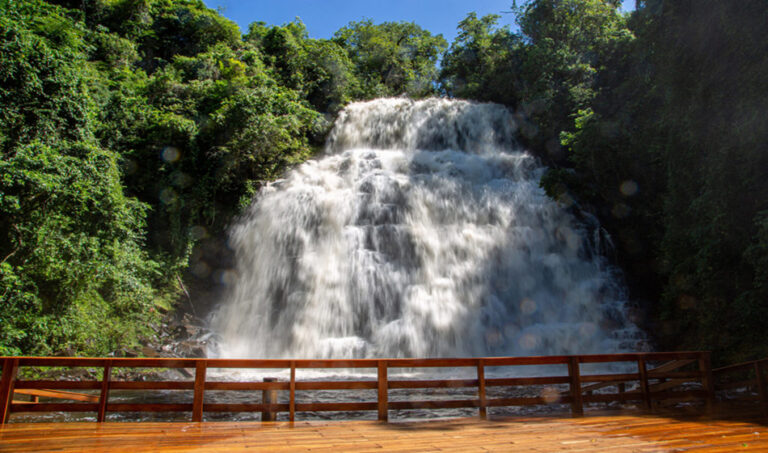 Galeria de Fotos