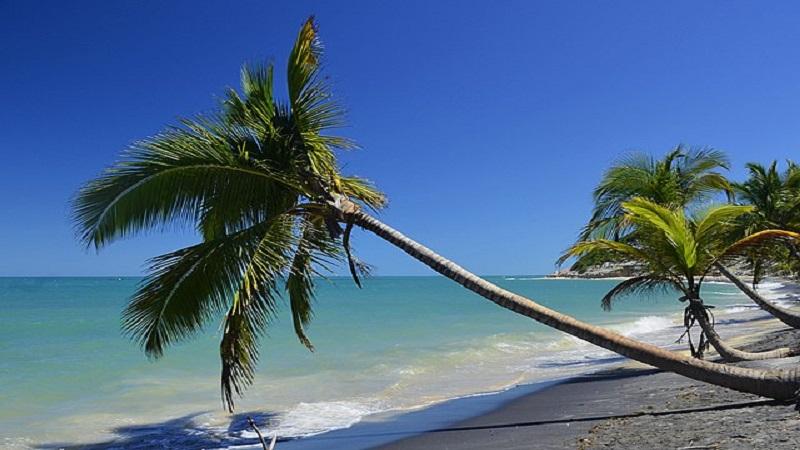 PORTO SEGURO FEVEREIRO 2027